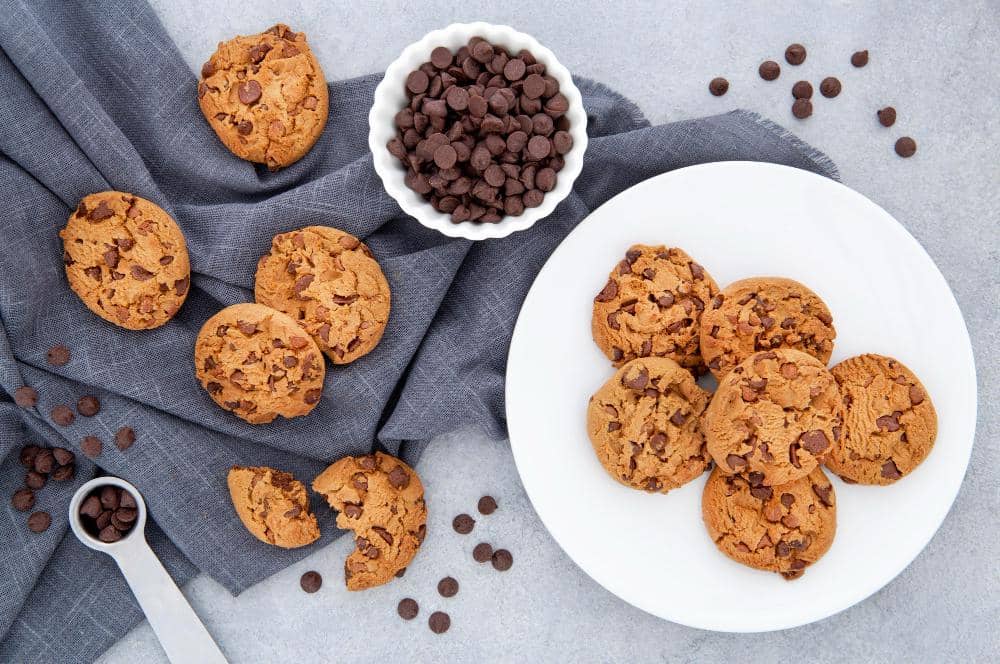 ilustrasi chocolate chips cookies