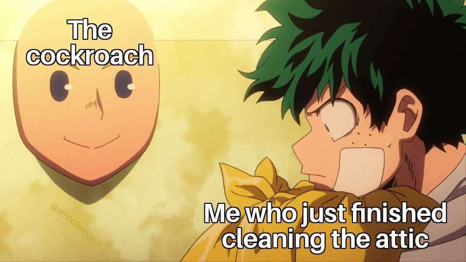 meme anime tentang kecoa