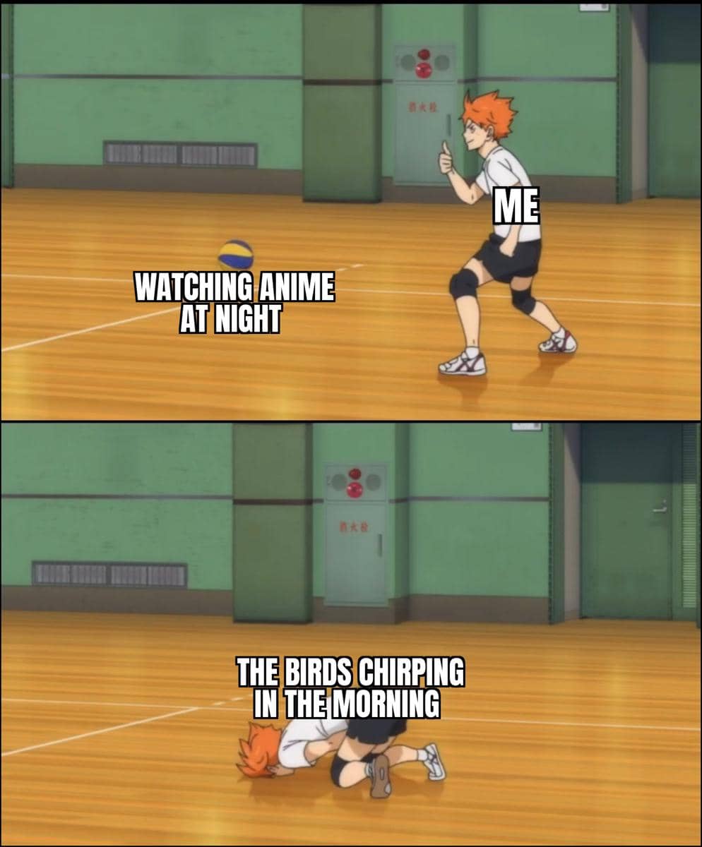 meme anime tentang burung