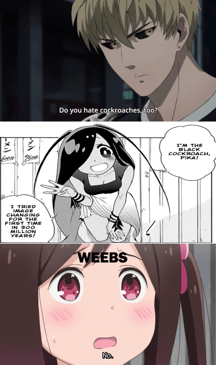 meme anime tentang kecoa