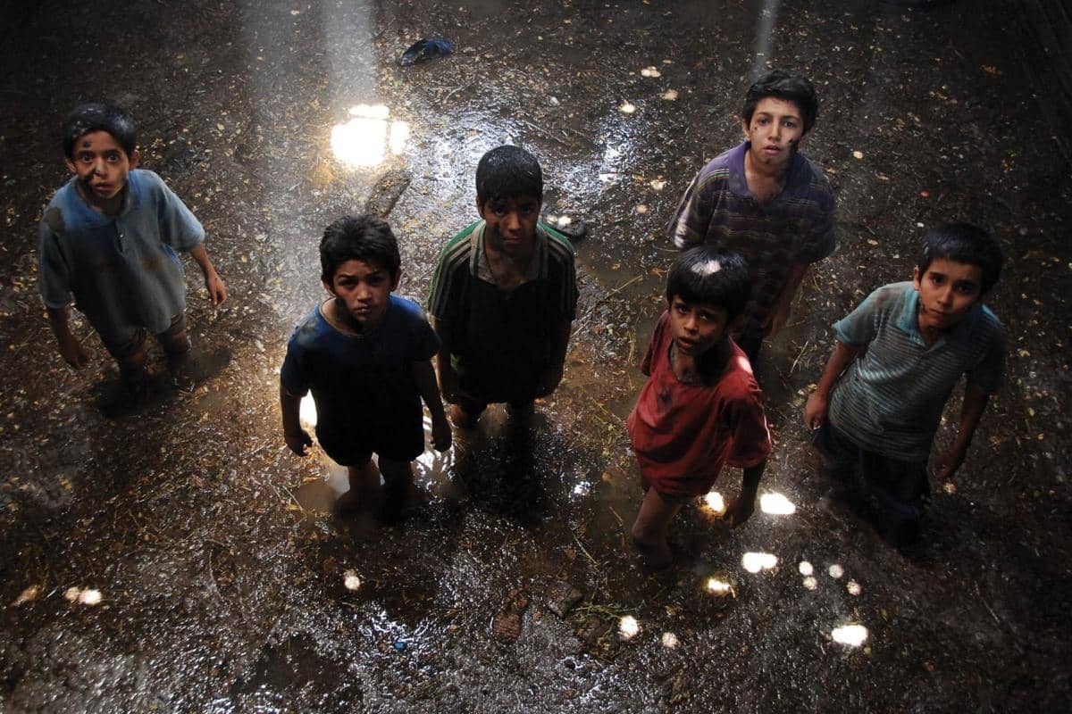 The Song of Sparrows 