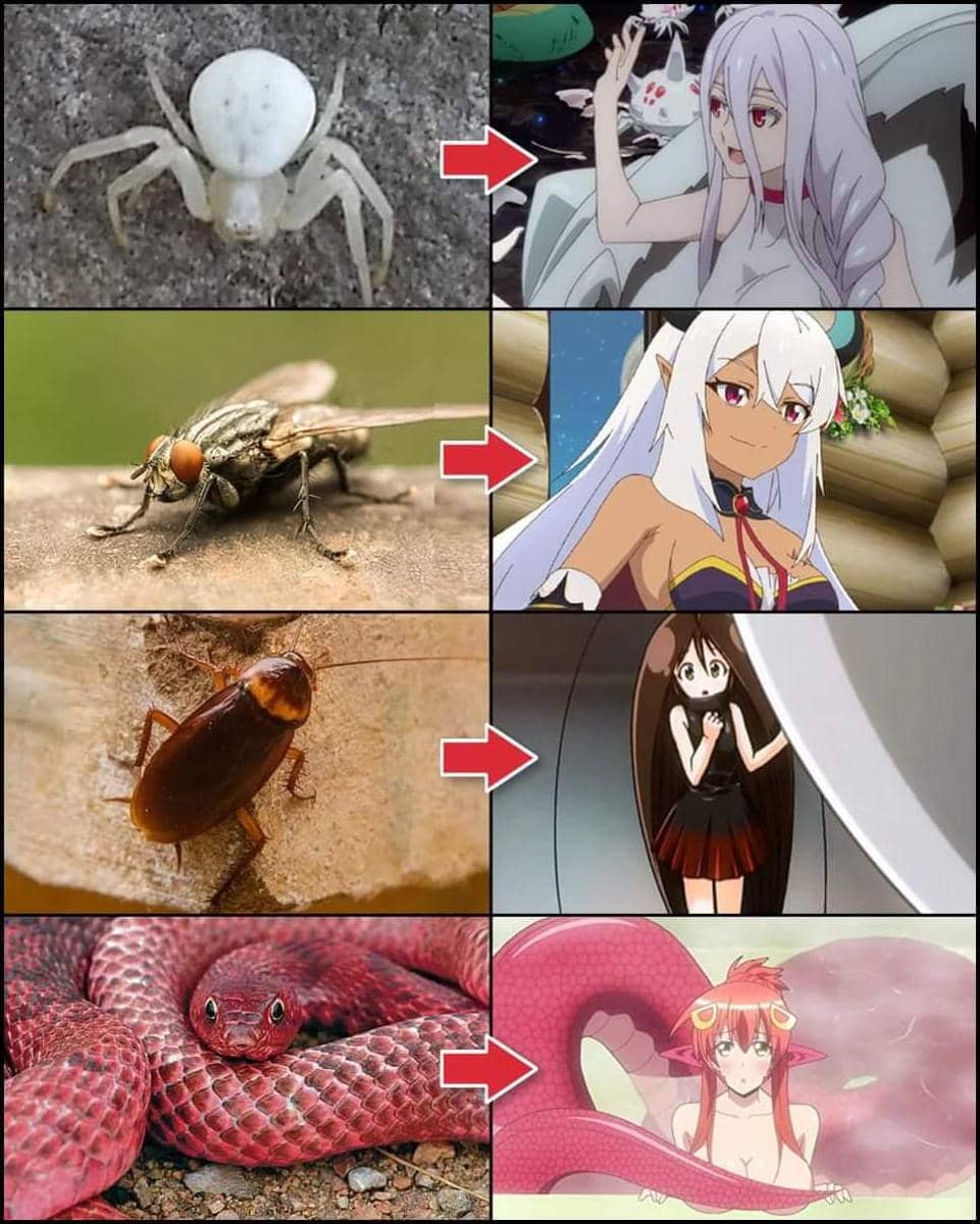 meme anime tentang kecoa