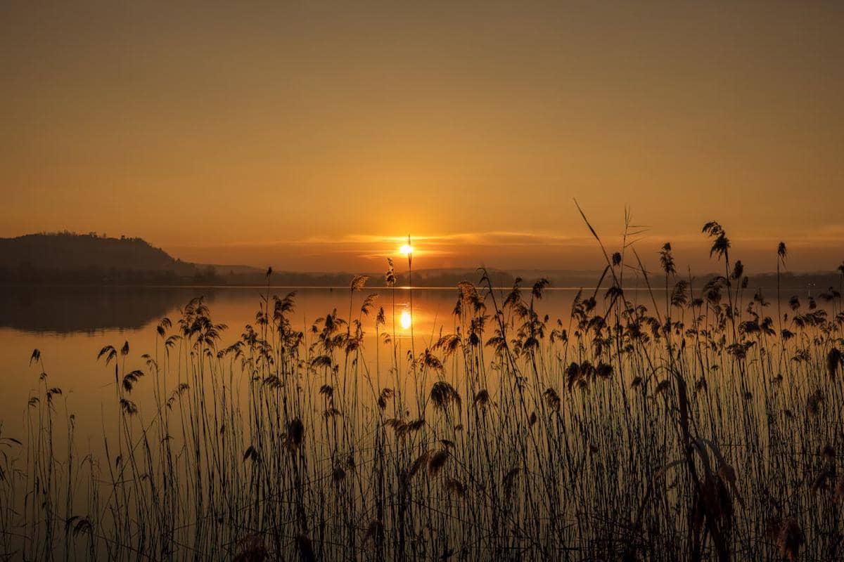 Pemandangan sore yang tenang dan sendu