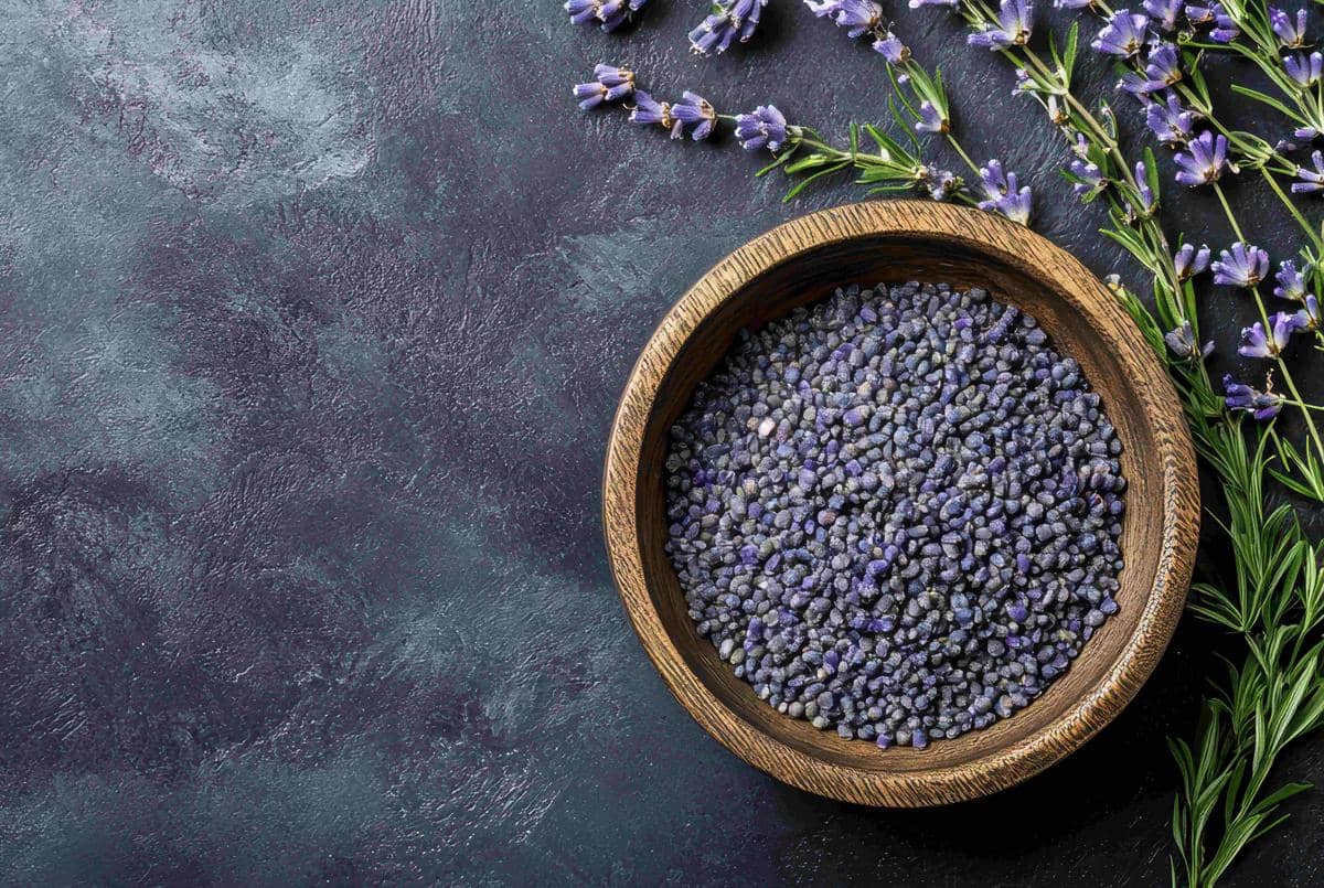 lavender food grade