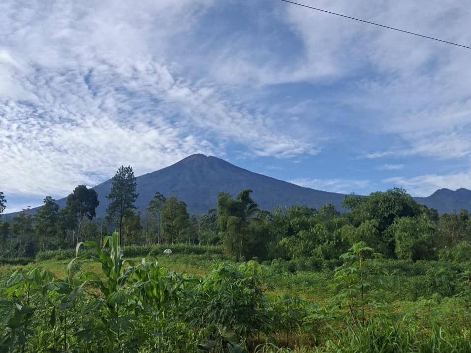 ilustrasi pemandangan Gunung Slamet dari Desa Belik, Pemalang