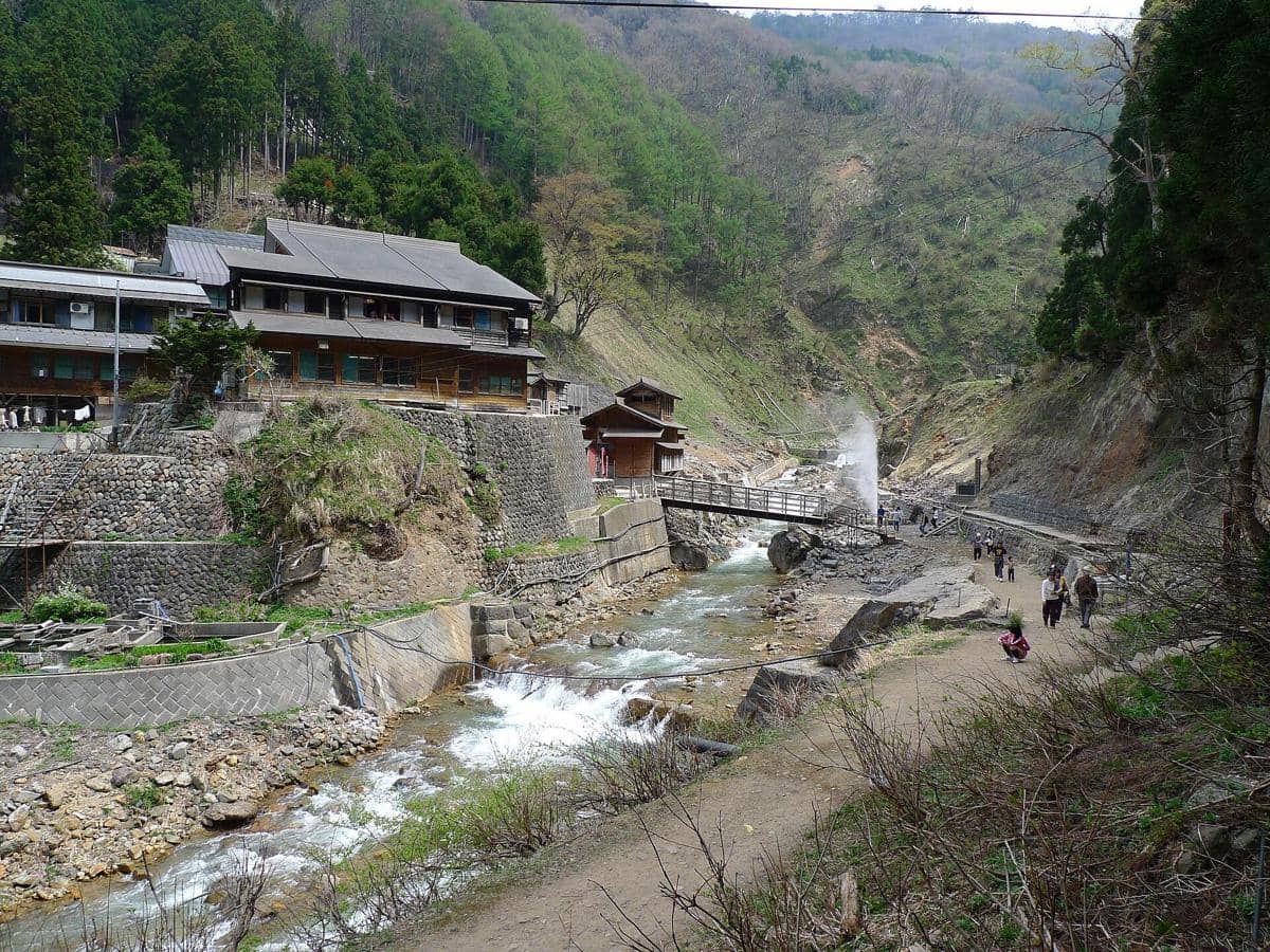 ilustrasi monyet salju di Jigokudani 