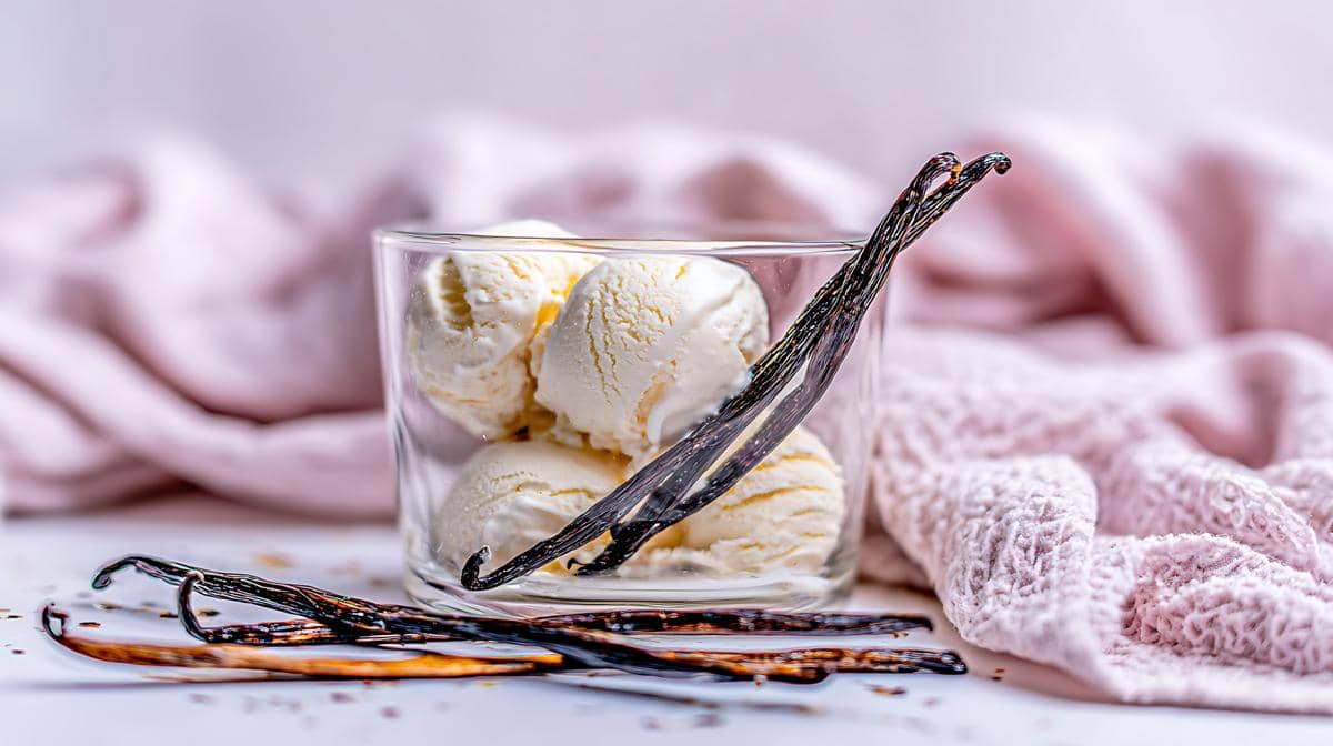 ilustrasi gelato vanilla