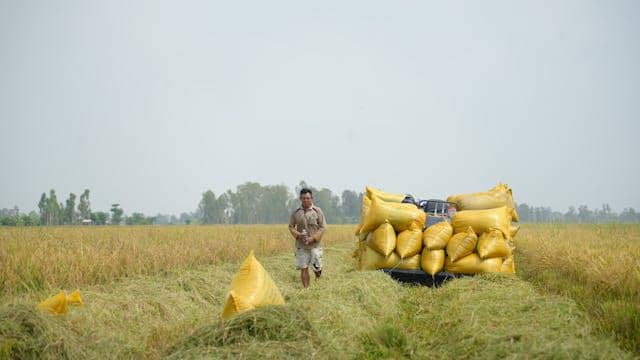 NTP Sulsel Turun ke 116,86 di Februari 2026, Daya Beli Petani Melemah
