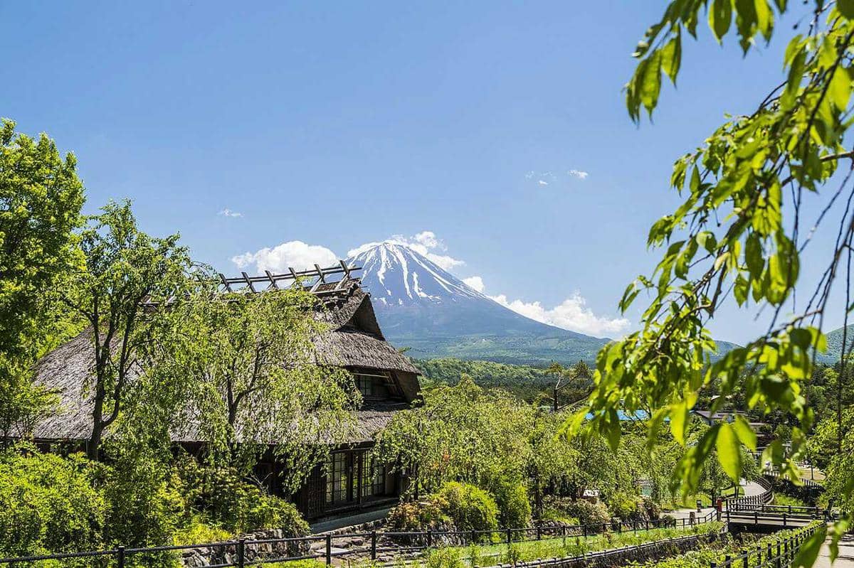 Iyashinosato Village, Jepang (commons.