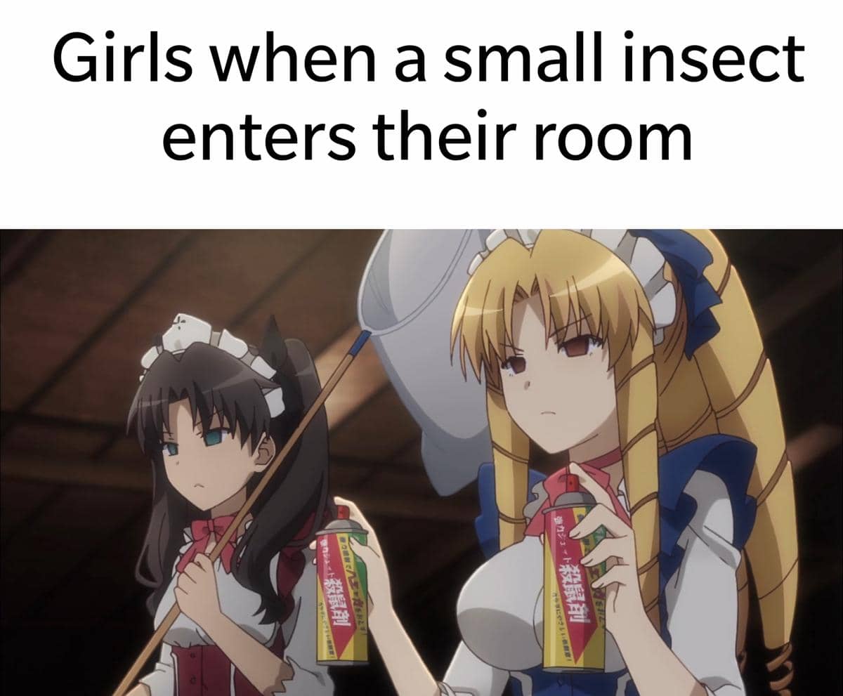 meme anime tentang serangga