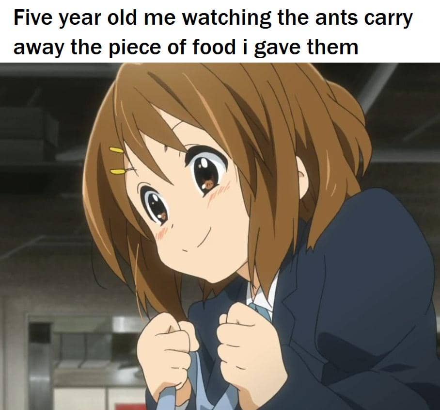 meme anime tentang serangga