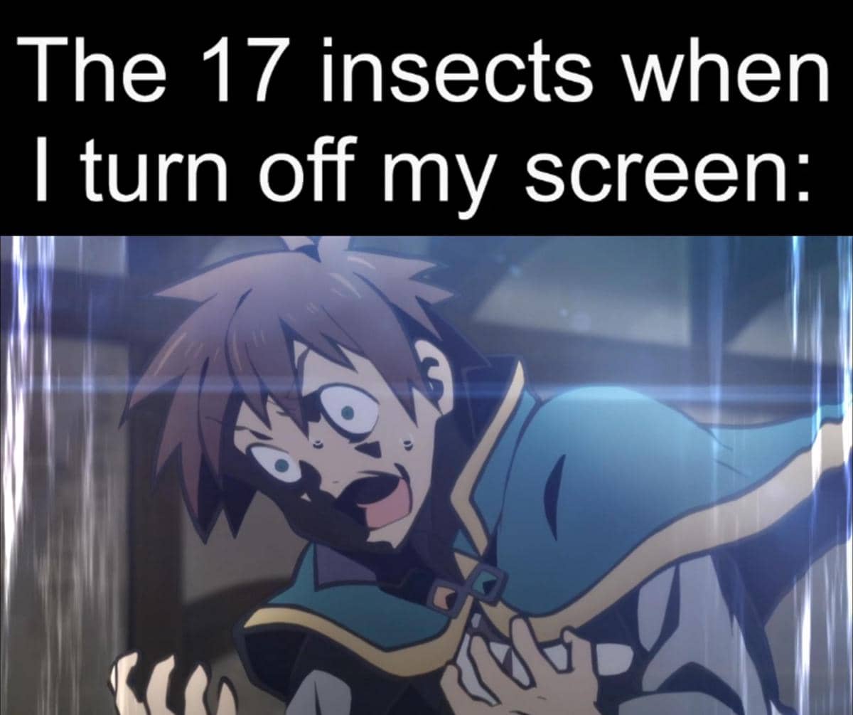 meme anime tentang serangga