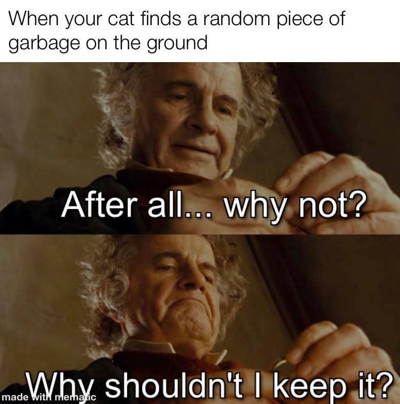 meme kucing dan sampah
