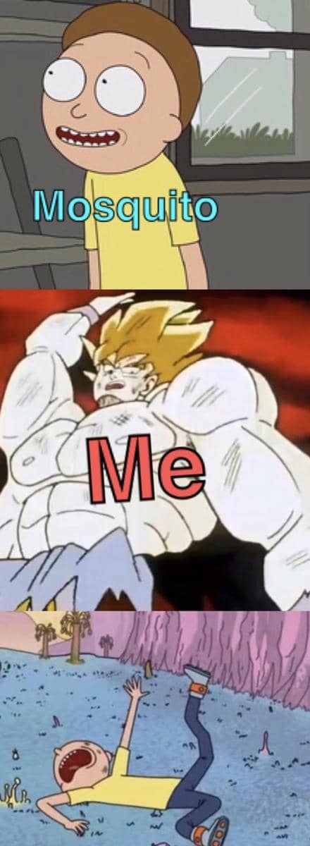 meme anime tentang serangga