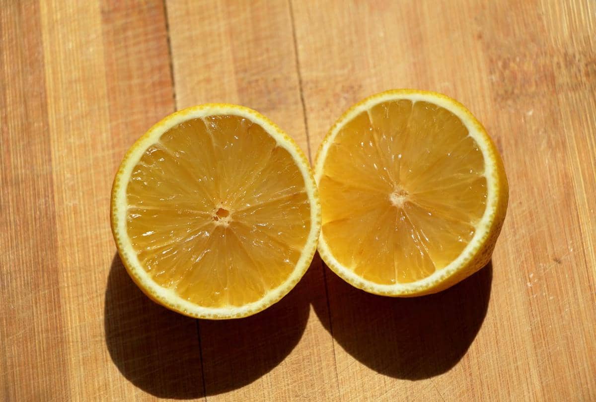ilustrasi lemon