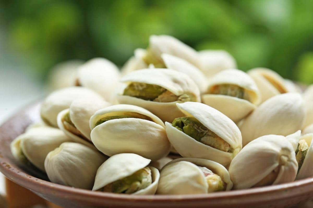 ilustrasi kacang pistachio