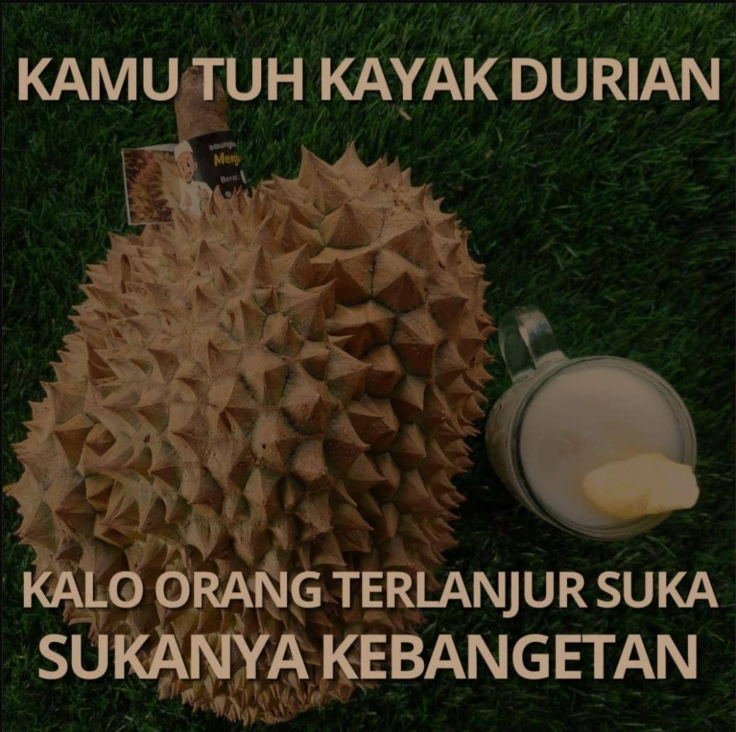 meme durian