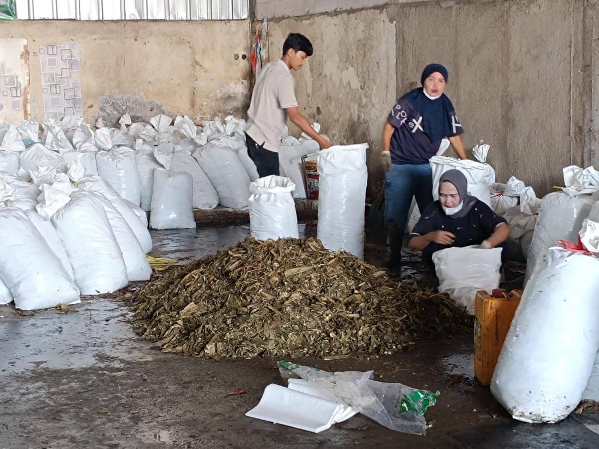 WhatsApp Image 2026-01-16 at 12.49.36 PM.jpeg