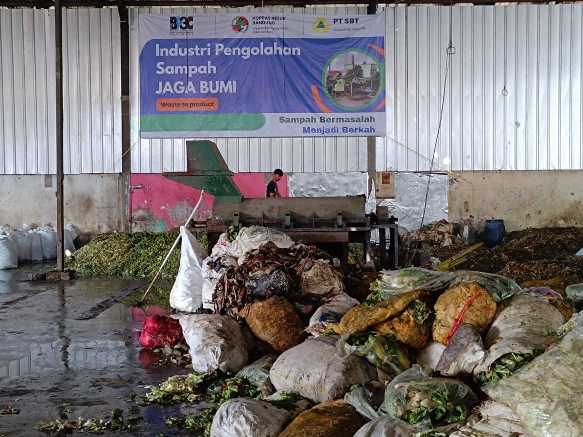 WhatsApp Image 2026-01-16 at 12.49.34 PM.jpeg