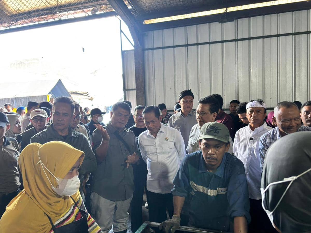 WhatsApp Image 2026-01-16 at 12.02.04 PM (1).jpeg