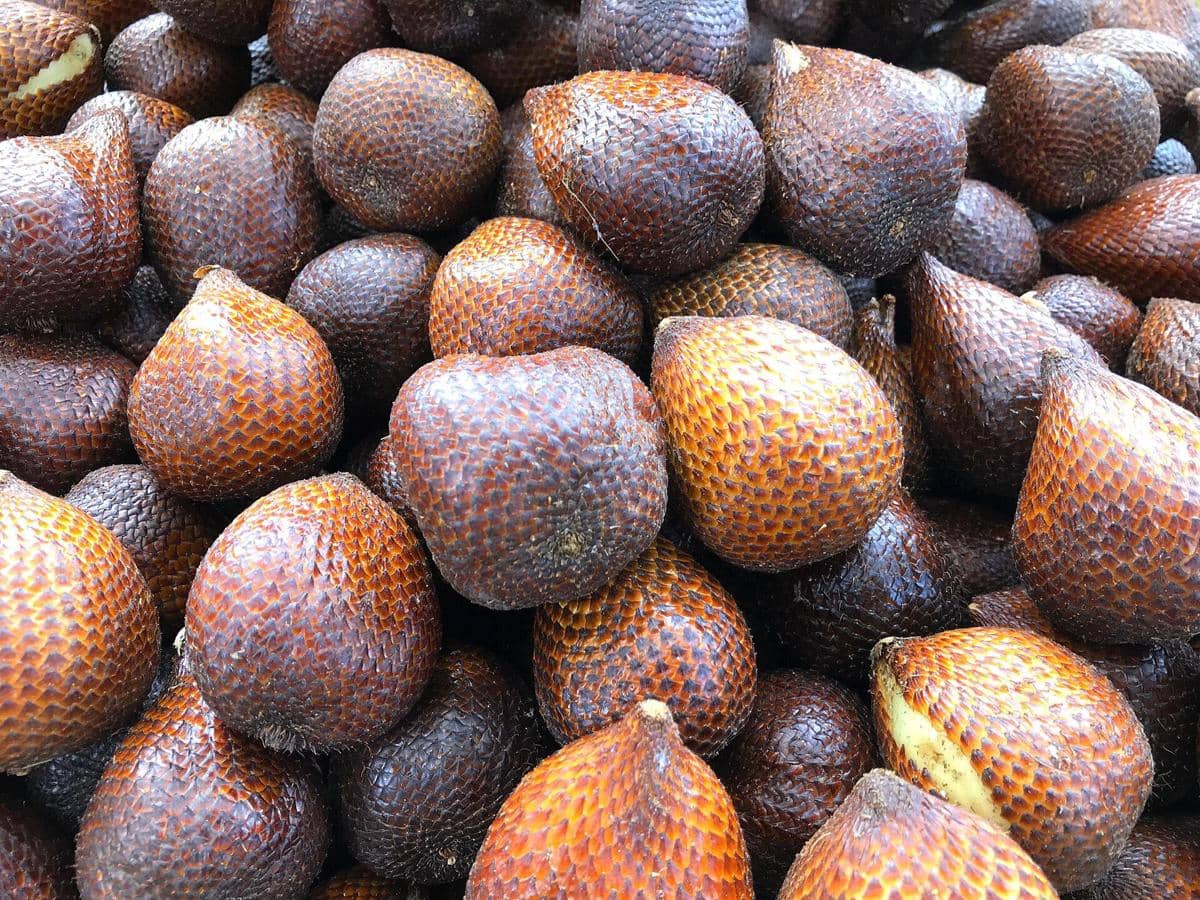 ilustrasi salak pondoh