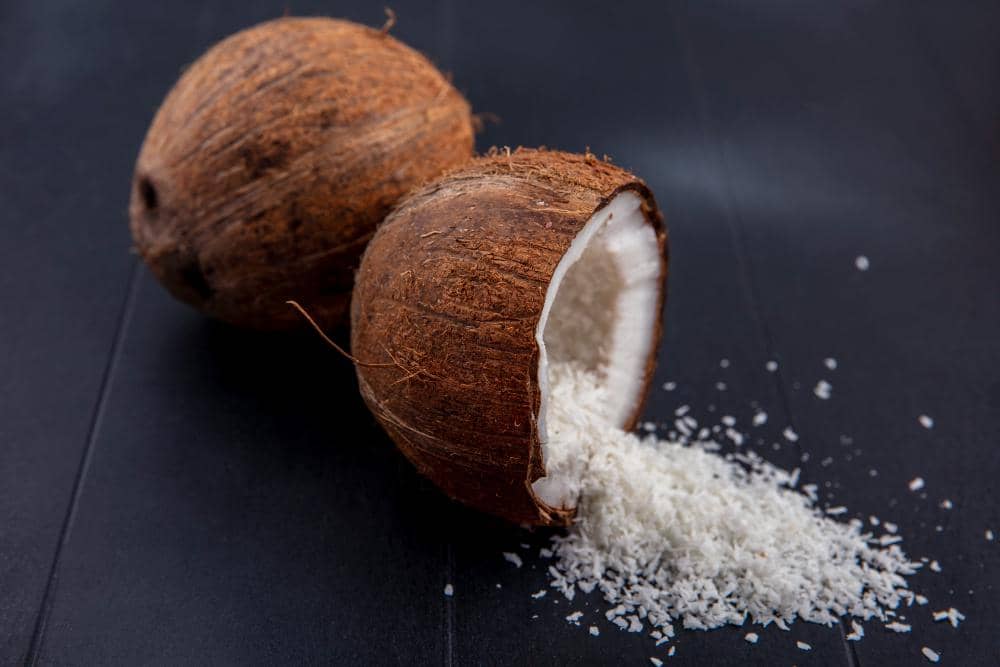 ilustrasi desiccated coconut