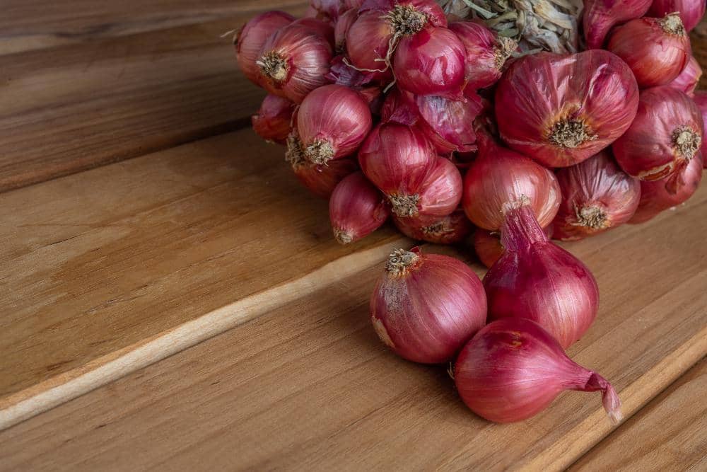ilustrasi bawang merah