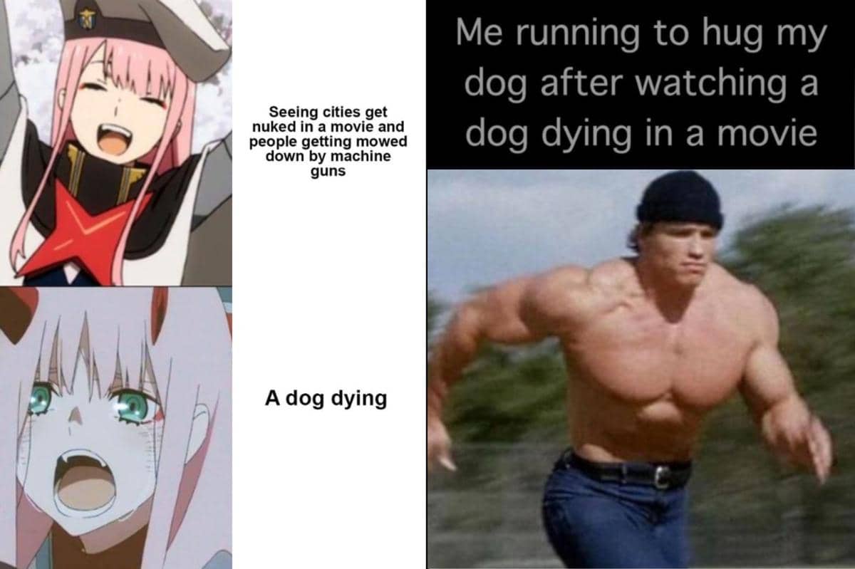 kolase meme anjing di film