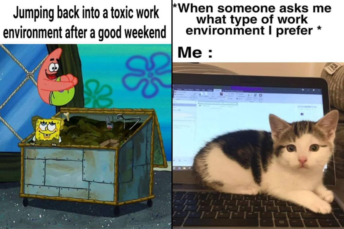 kolase meme tentang lingkungan kerja