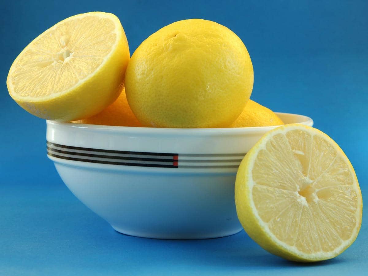 ilustrasi buah lemon 