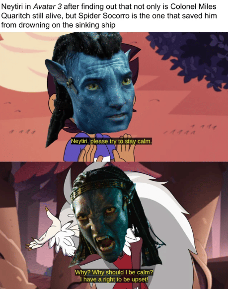 meme Neytiri 'Avatar'