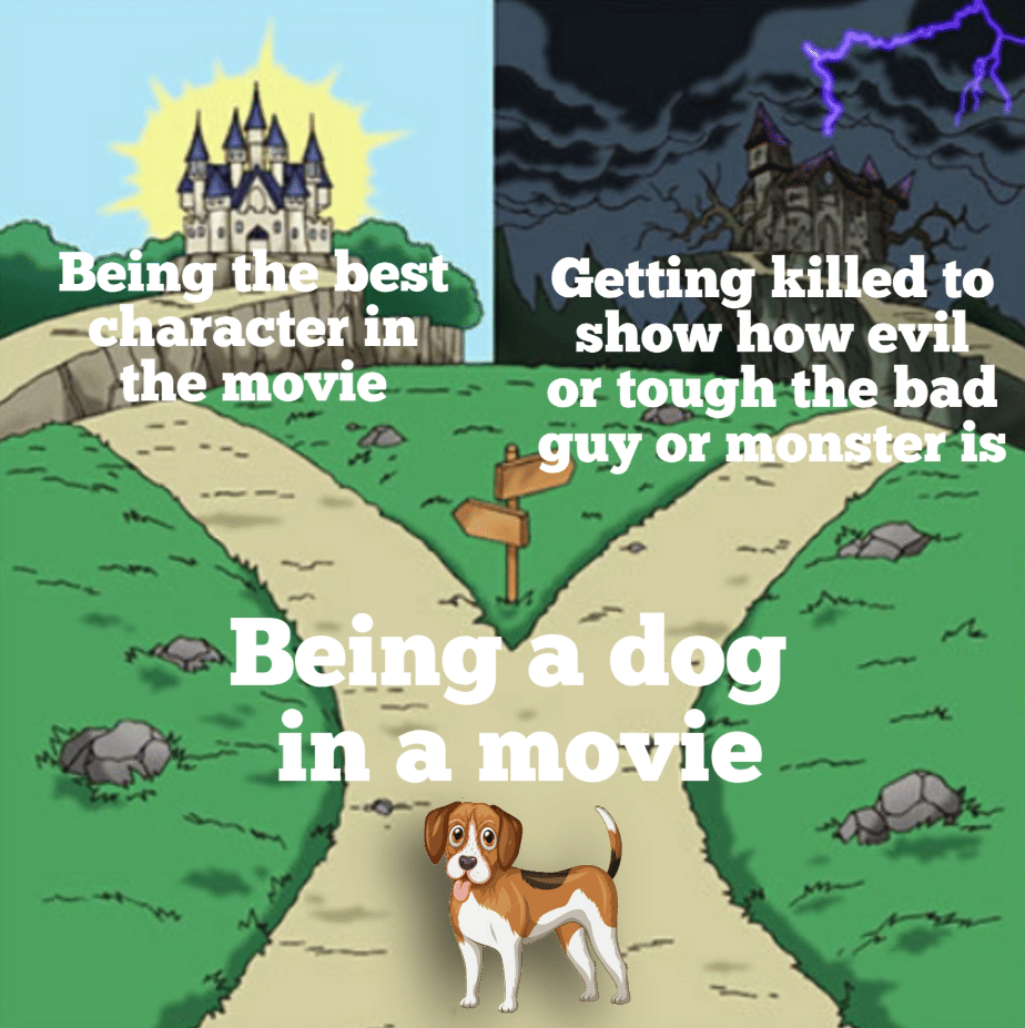 meme anjing di film