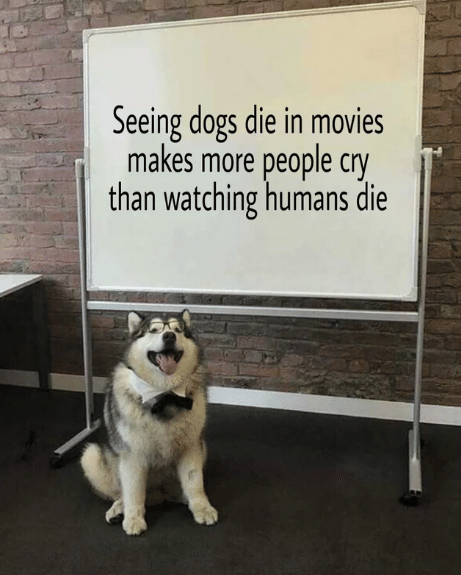 meme anjing di film