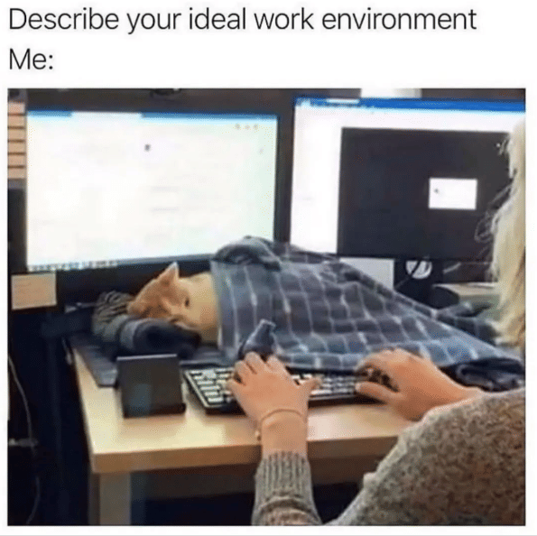 meme tentang lingkungan kerja