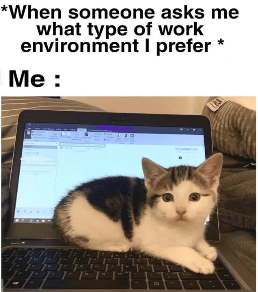 meme tentang lingkungan kerja