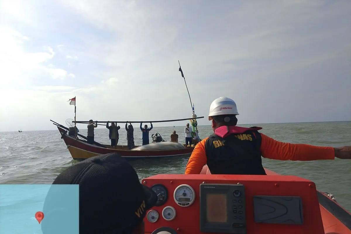 Tim SAR melakukan proses pencarian seorang nelayan yang terjatuh di Perairan Lontar, Kecamatan Tirtayasa, Kabupaten Serang, Banten, Jumat (16/1/2026) 