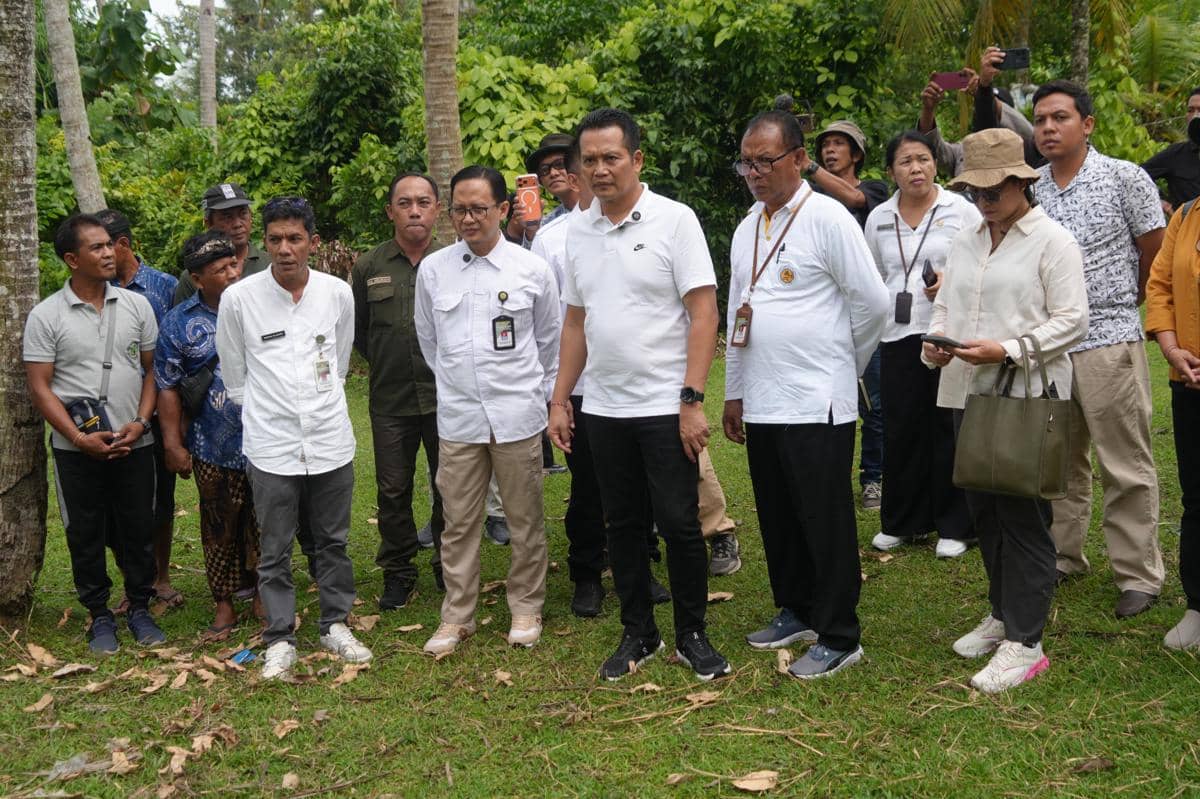 Jembrana Terima Ratusan Dosis Vaksin LSD dari Kementan