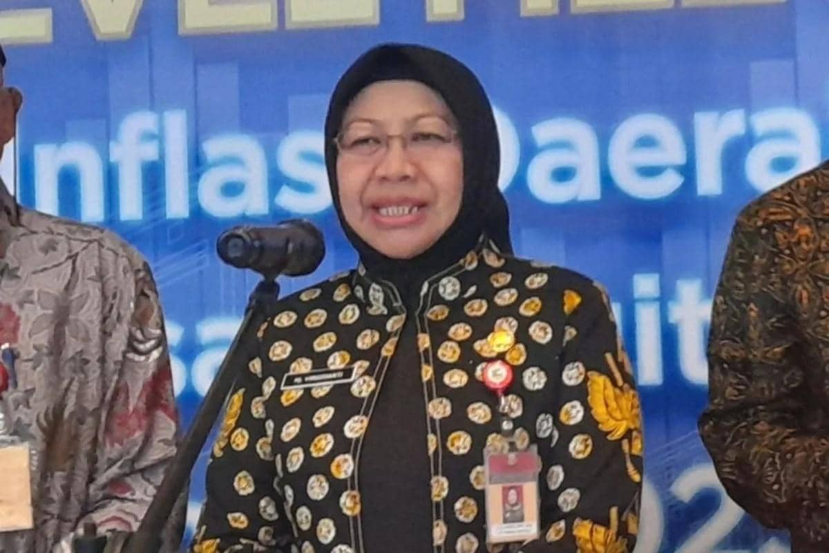 Kepala Dinas Penanaman Modal dan Pelayanan Terpadu Satu Pintu (DPMPTSP) Provinsi Banten Virgojanti (Dok.ANTARA/Desi Purnama Sari)