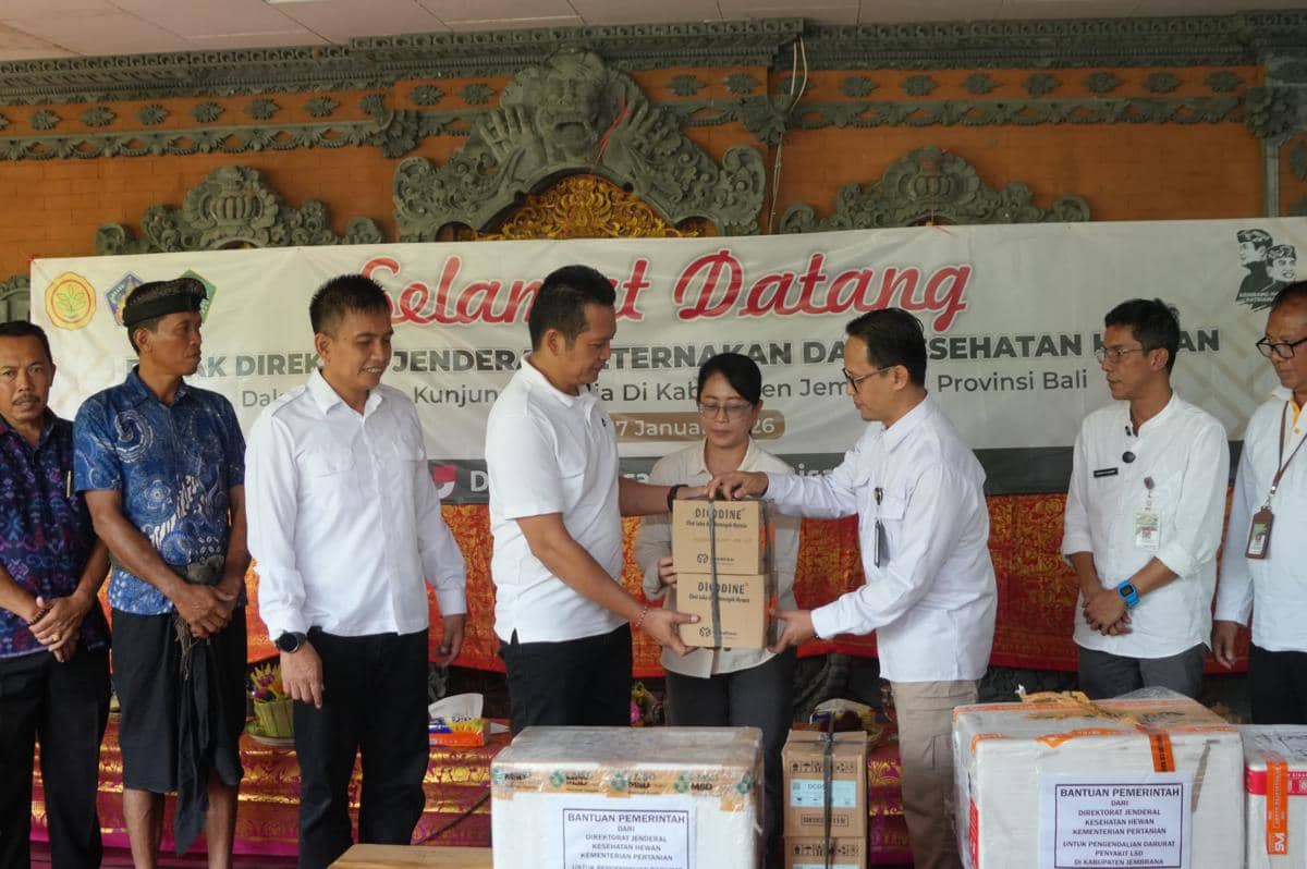 Jembrana Terima Ratusan Dosis Vaksin LSD dari Kementan