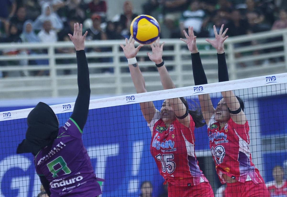 WhatsApp Image 2026-01-16 at 11.29.06 PM.jpeg