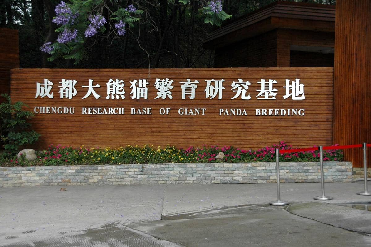 potret Chengdu Research Base of Giant Panda Breeding
