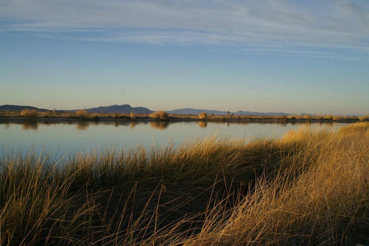 Sungai Colorado, Reservasi Indian Sungai Colorado