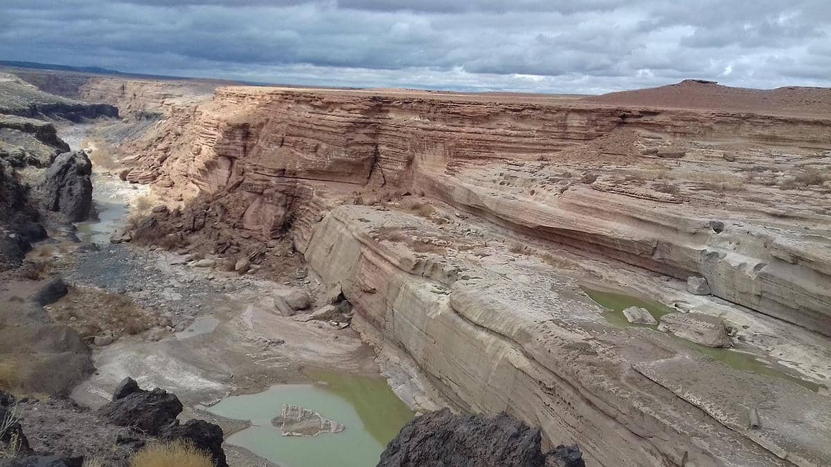 aliran Sungai Colorado Dekat Moab, Utah