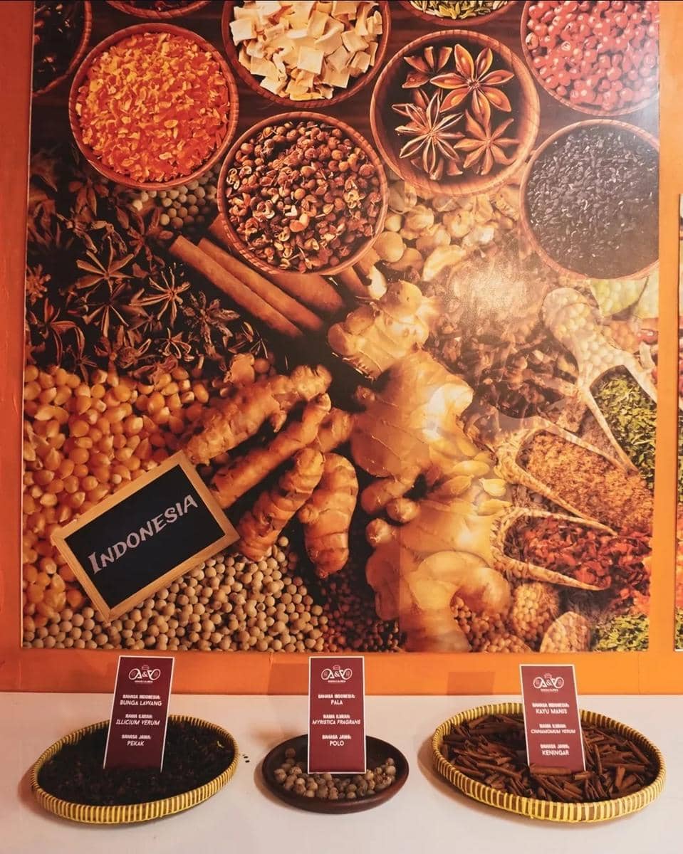 Museum Anaia dan Alisha