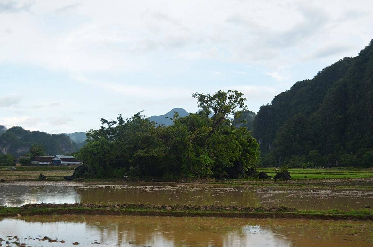 Sawah milik petani di Desa Kallabbiring, Kabupaten Maros.