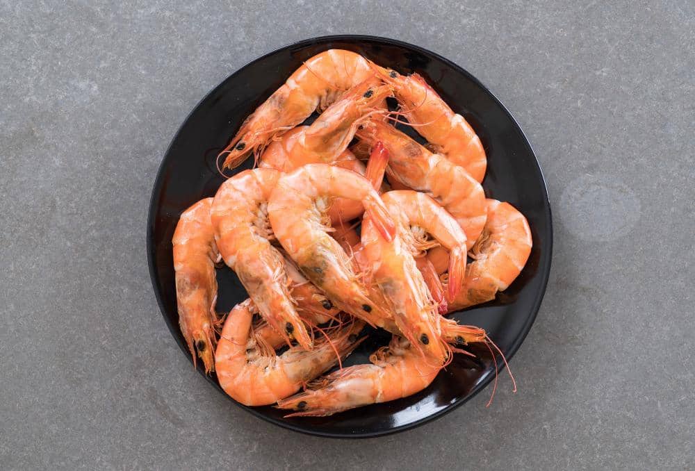 Ilustrasi udang berwarna oranye dengan bentuk melengkung, menonjolkan bagian kepala, kaki, dan ekor bercorak.