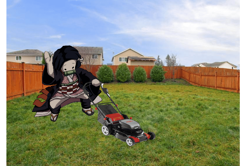 meme anime tentang rumput