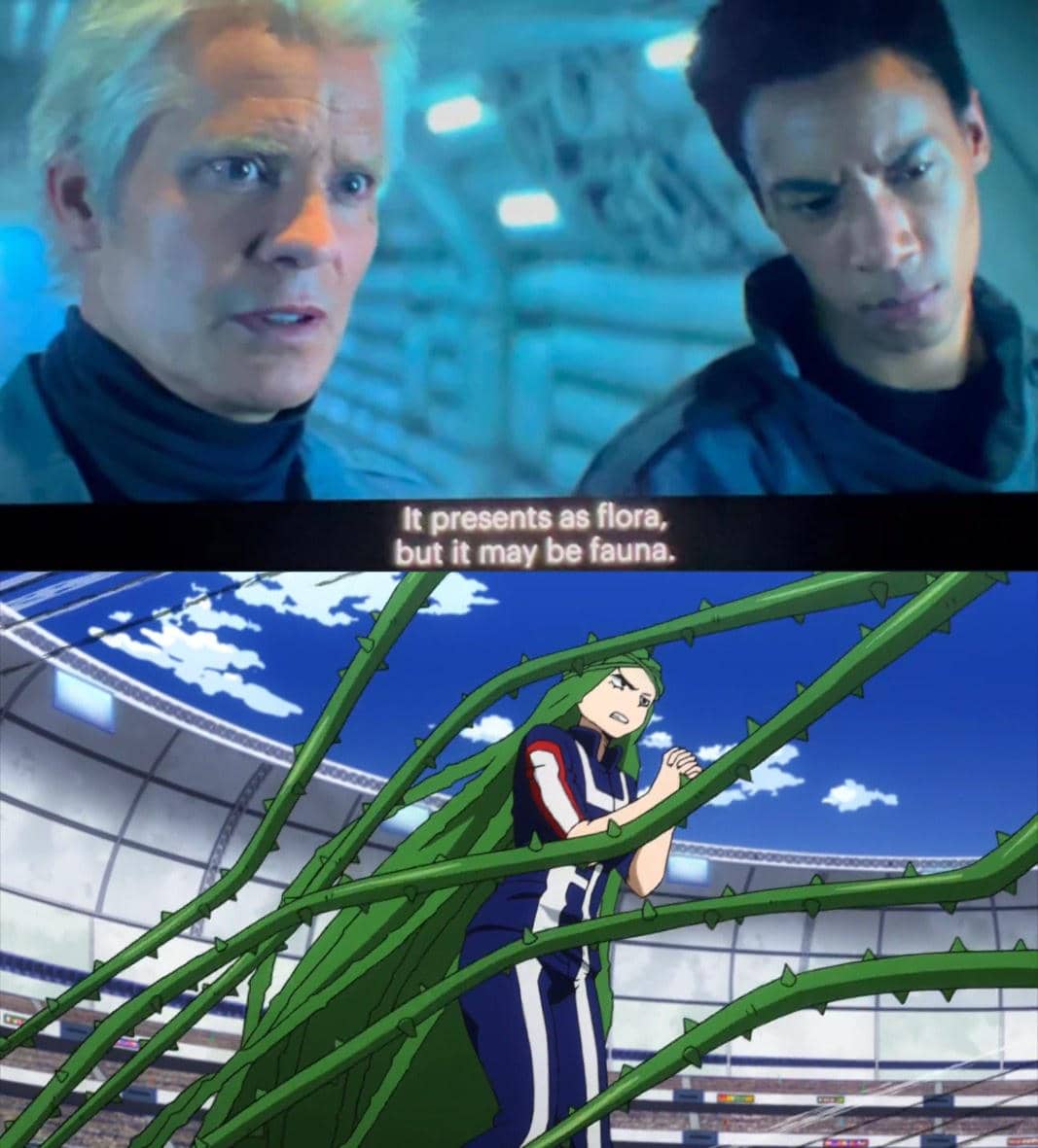 meme anime tentang rumput