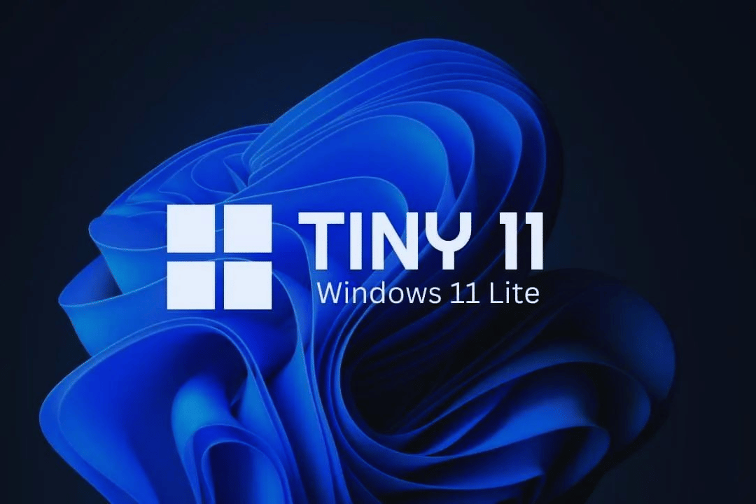 Tiny11