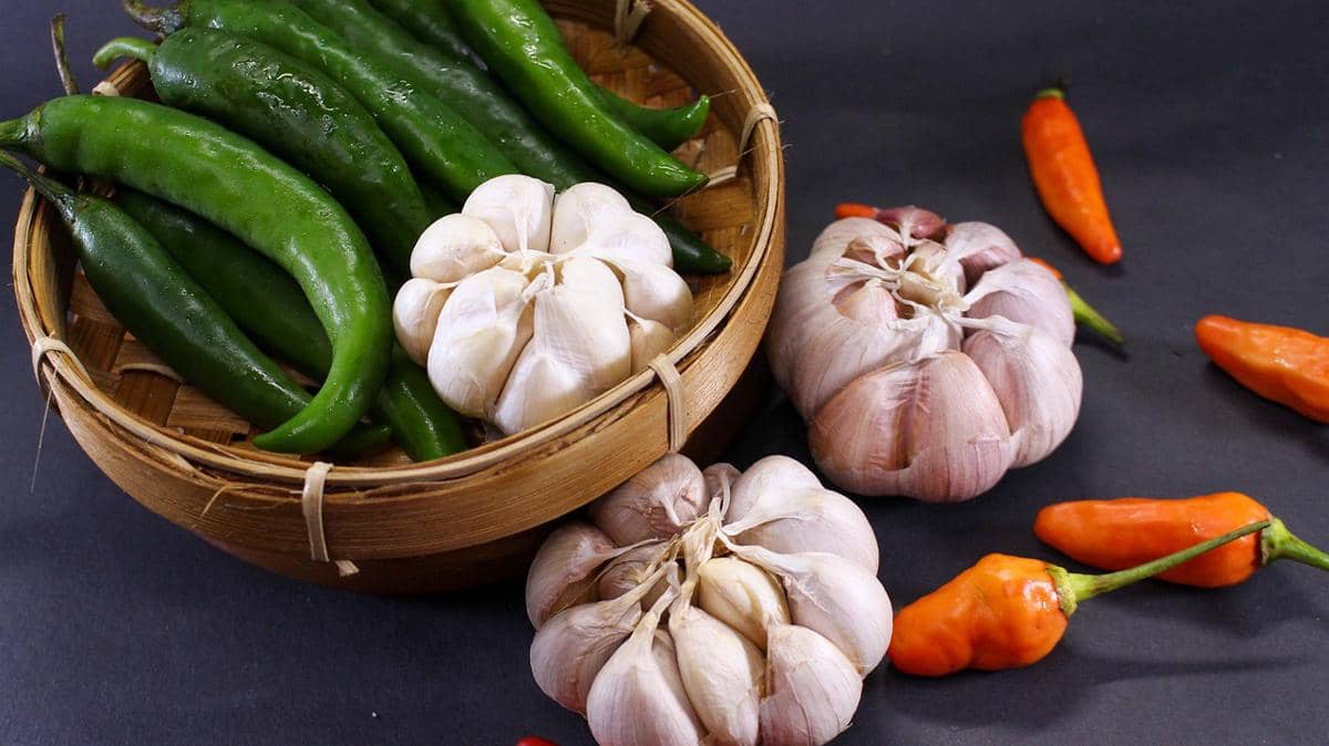 ilustrasi bumbu masak